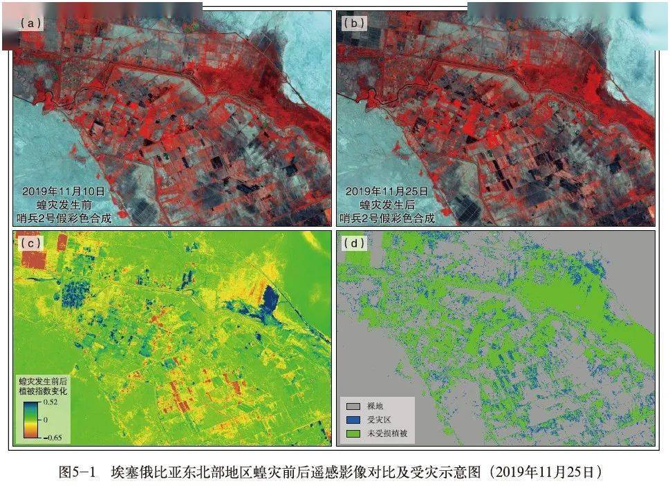 空天一体，守护蓝星 从《全球生态环境遥感监测2020年度报告》看地理遥感信息服务的时代使命